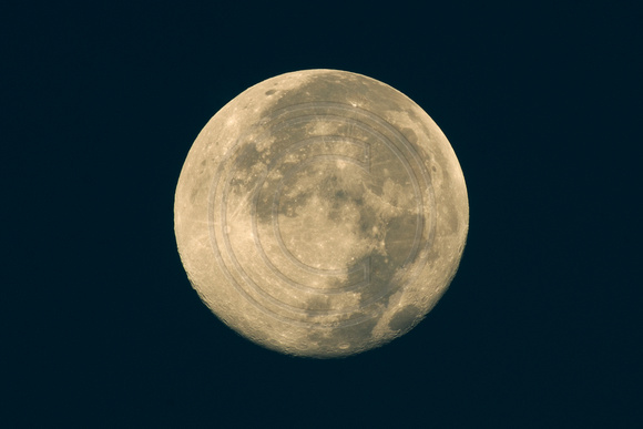 18 of 20 f22 Blue Moon