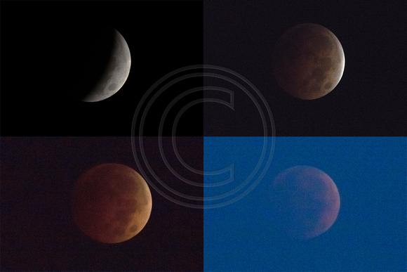 8 Oct 2014 Lunar Eclipse